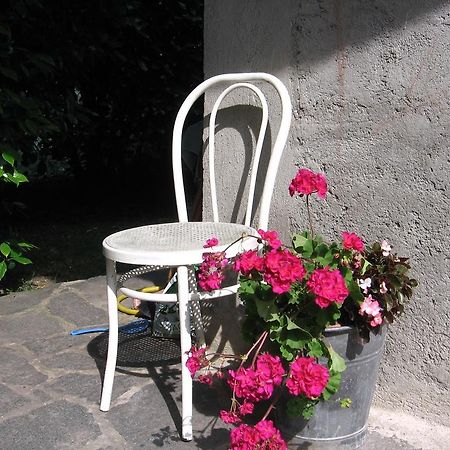 B&B Bosco Fiorito Malgesso Exteriör bild