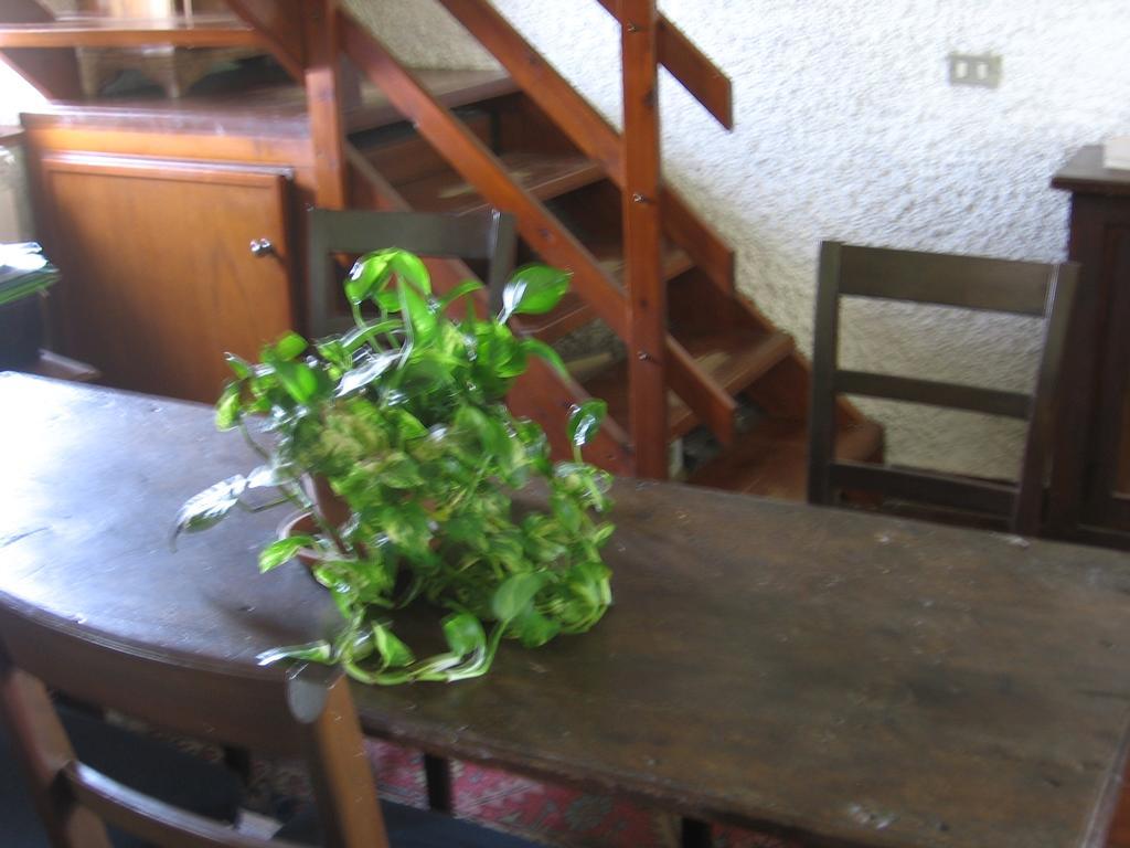 B&B Bosco Fiorito Malgesso Exteriör bild
