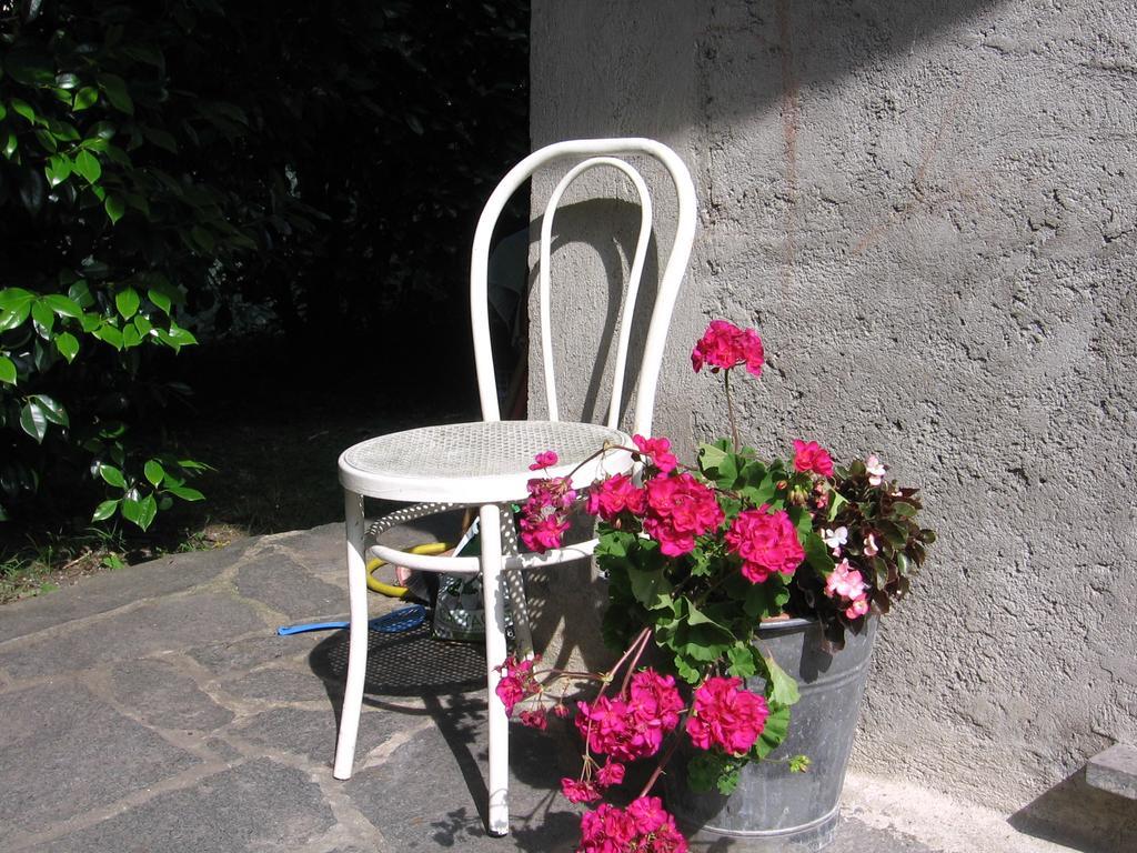 B&B Bosco Fiorito Malgesso Exteriör bild